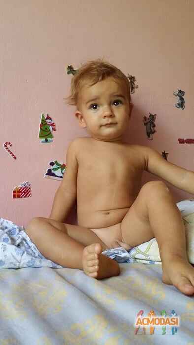 Парс   фото №699730. Загружено 30 Июля 2014