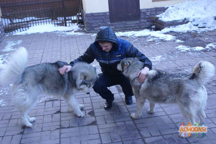 Стас  Потапов фото №702416. Загружено 03 Августа 2014