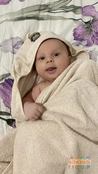 Давид  Згода-Суздалев фото №1943285. Загружено 08 Декабря 2025