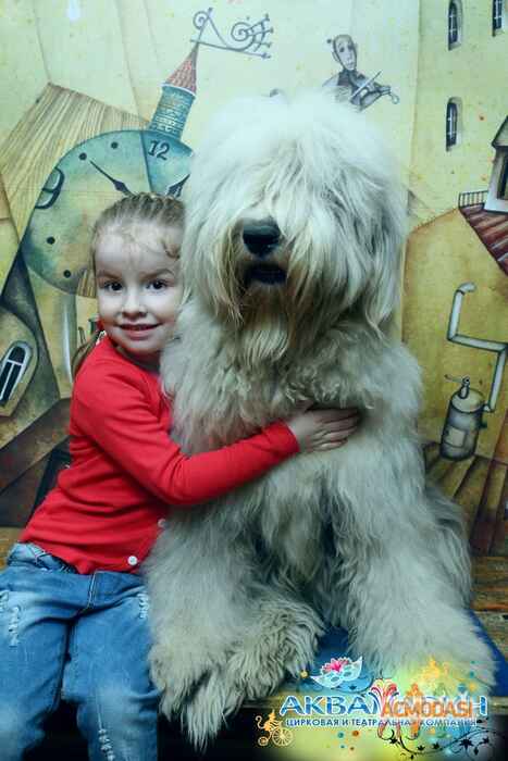 София  Потапова фото №862318. Загружено 18 Мая 2015