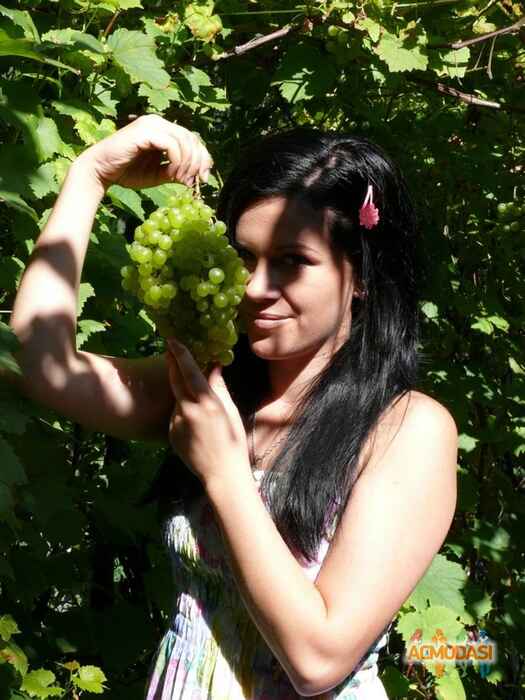 Ольга Александровна Мовенко фото №166045. Загружено 16 Марта 2012