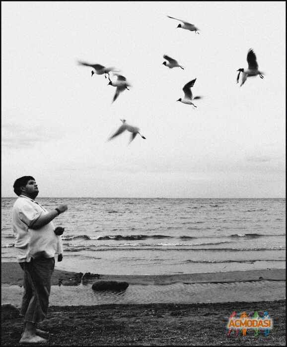 Олег Александрович Князев фото №432320. Загружено 21 Июня 2013