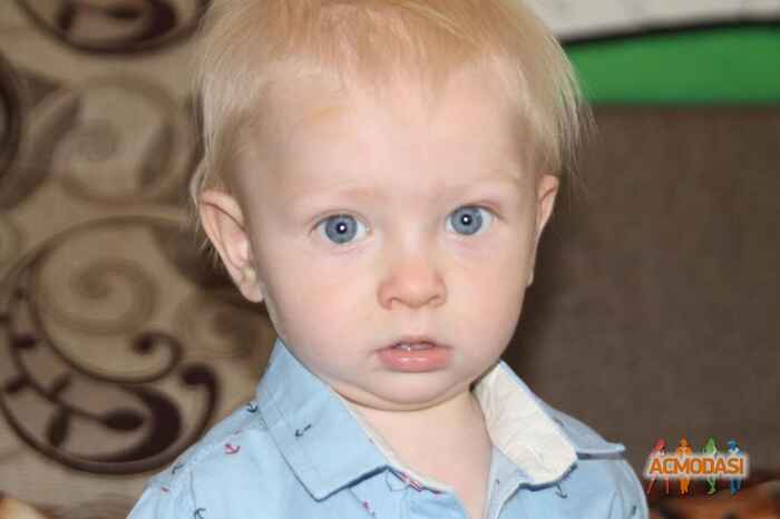 Савелий Максимович Шаров фото №1486318. Загружено 16 Июля 2019