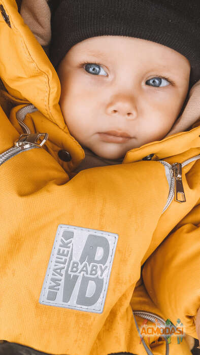 Михаил  Чепрага фото №1829233. Загружено 14 Ноября 2022