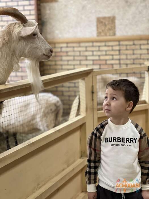 Мирон  Чебыкин фото №1847089. Загружено 13 Марта 2023