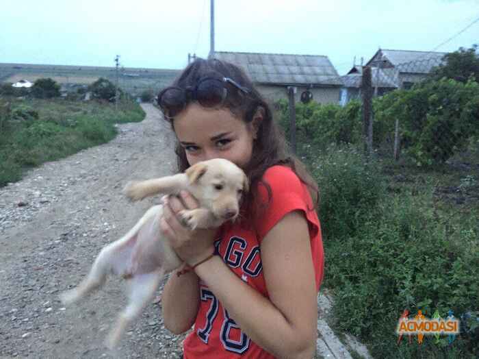 Анастасия  Терзи фото №1470185. Загружено 05 Июня 2019