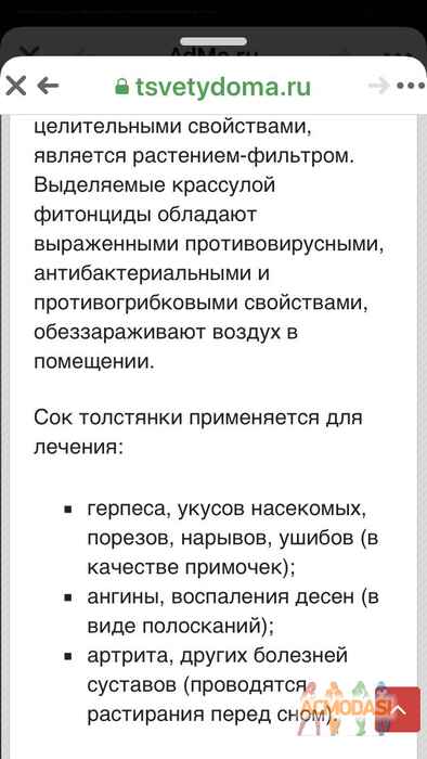 Татьяна  Николаенко фото №1648963. Загружено 22 Октября 2020