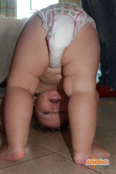 Софийка   фото №553829. Загружено 17 Декабря 2013