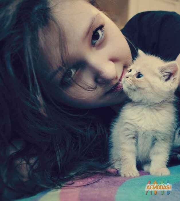 Ильвира Рамилевна Истоцкая фото №500186. Загружено 28 Сентября 2013