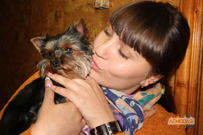 Юлия Николаевна Коротыч фото №310235. Загружено 15 Декабря 2012