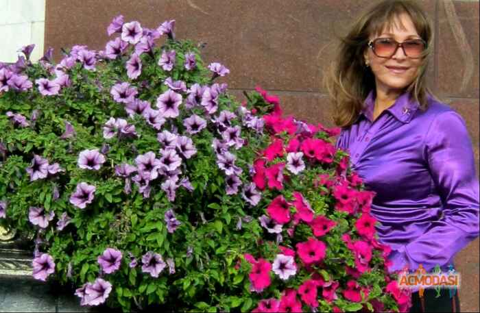 Нелли  Василиене фото №938560. Загружено 14 Октября 2015