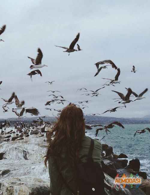 Daria Anatolievna Potapova фото №636143. Загружено 14 Апреля 2014