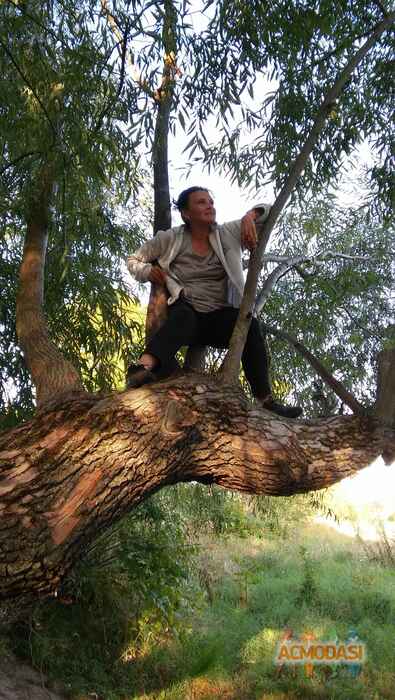 Елена  Федяева фото №1639719. Загружено 20 Сентября 2020