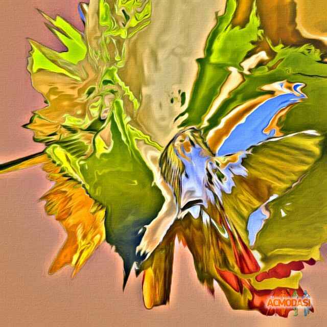 petr  badu фото №781054. Загружено 26 Ноября 2014