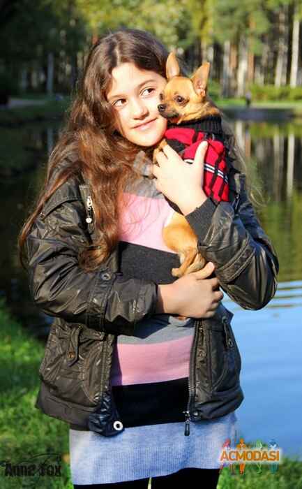 Шабанова Дарья Александровна фото №102163. Загружено 10 Ноября 2011