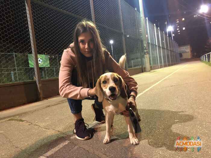 Анна  Рошу фото №1428350. Загружено 24 Февраля 2019