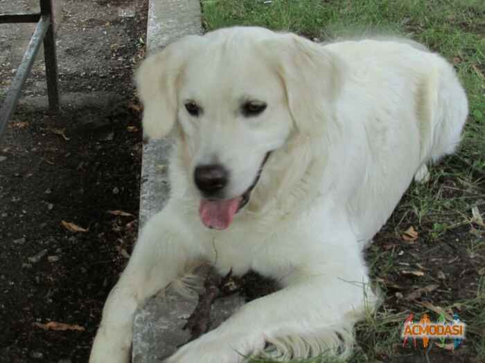 Марина Анатольевна Олий фото №1105338. Загружено 03 Ноября 2016