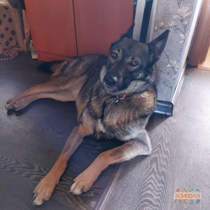 Ксения   фото №1771621. Загружено 18 Января 2022