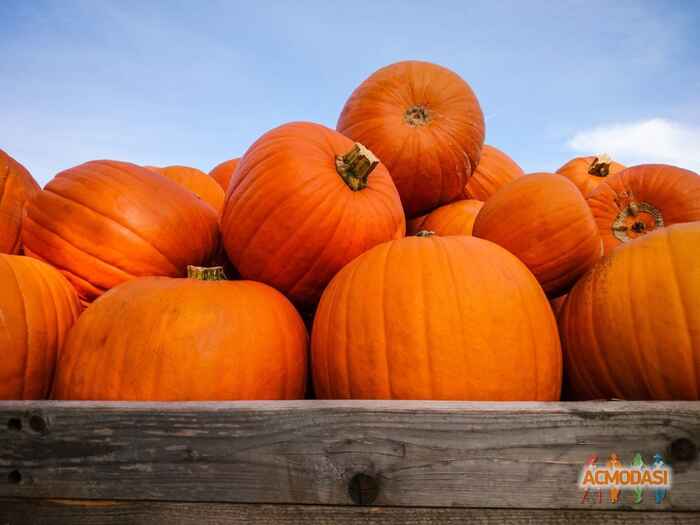 Антон Валерьевич Прохин фото №1512419. Загружено 16 Сентября 2019