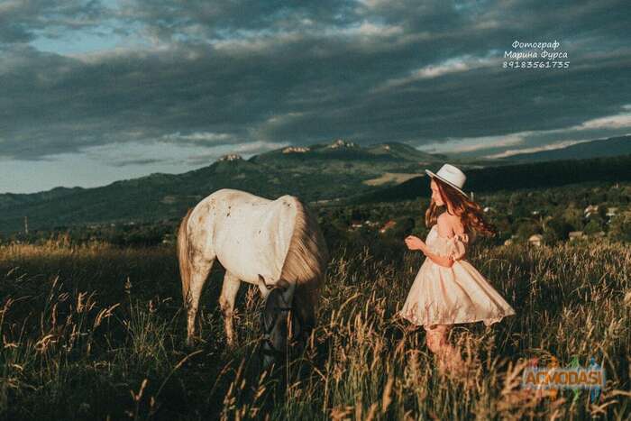 Алиса  острова фото №1843442. Загружено 17 Февраля 2023