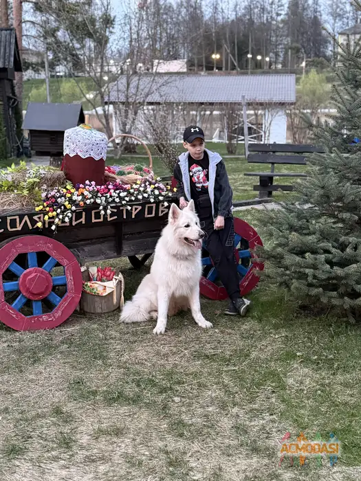 Александр   фото №1937607. Загружено 30 Сентября 2025