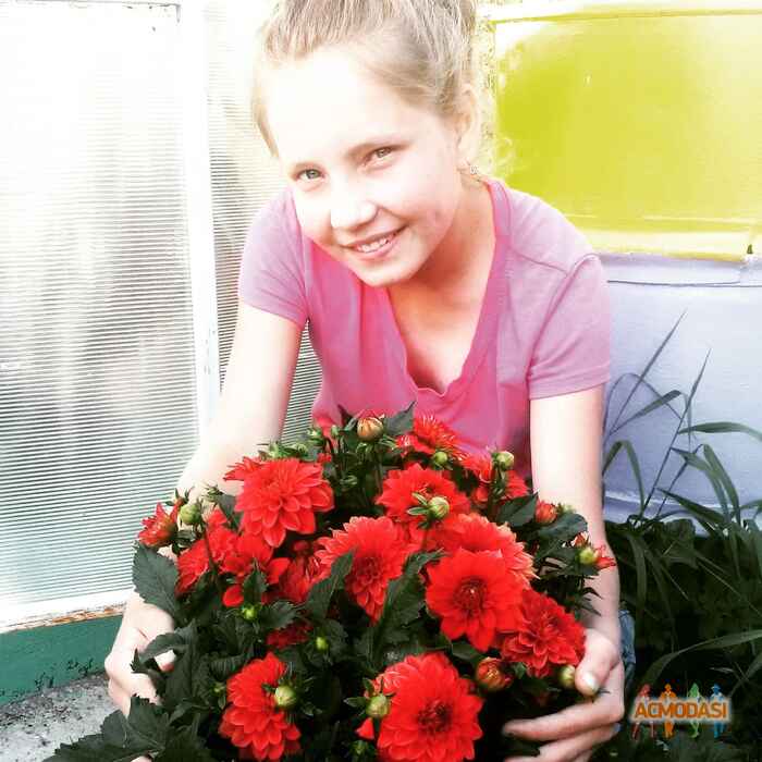 Яна  Виноградова фото №1220177. Загружено 30 Августа 2017