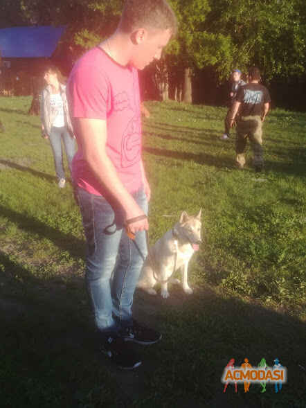 Евгений Олегович Замбиров фото №1197063. Загружено 02 Июля 2017