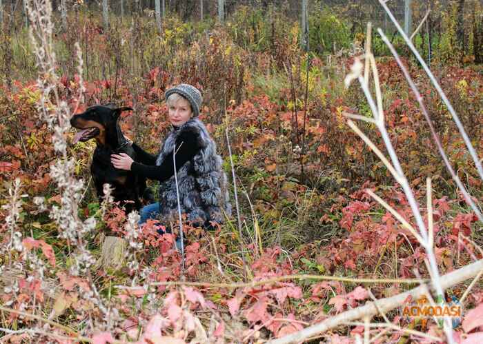 Ирина   фото №1531537. Загружено 25 Октября 2019