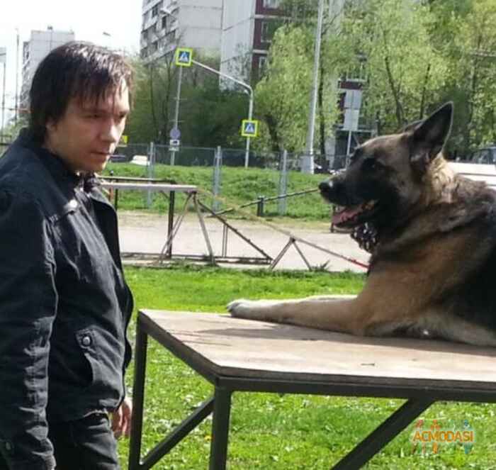 Андрей  Пластинин фото №1650725. Загружено 28 Октября 2020