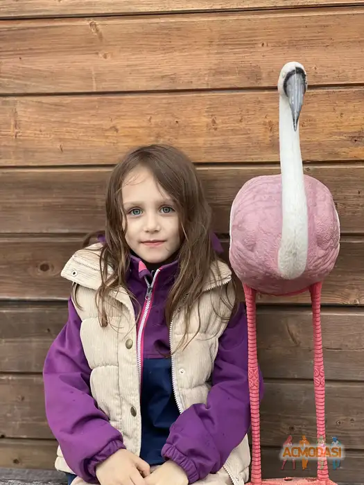 Мирослава  Бадаева фото №1945455. Загружено 15 Января 2026