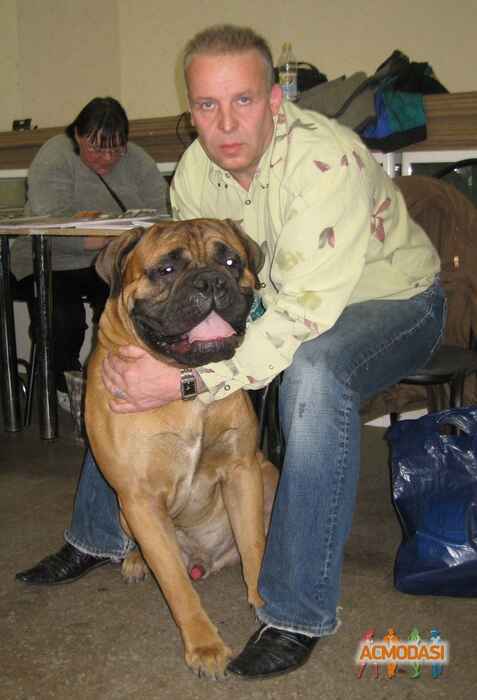 Шеланов Геннадий Васильевич фото №326153. Загружено 14 Января 2013