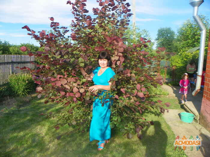 Елена Михайловна Фризен фото №550927. Загружено 12 Декабря 2013
