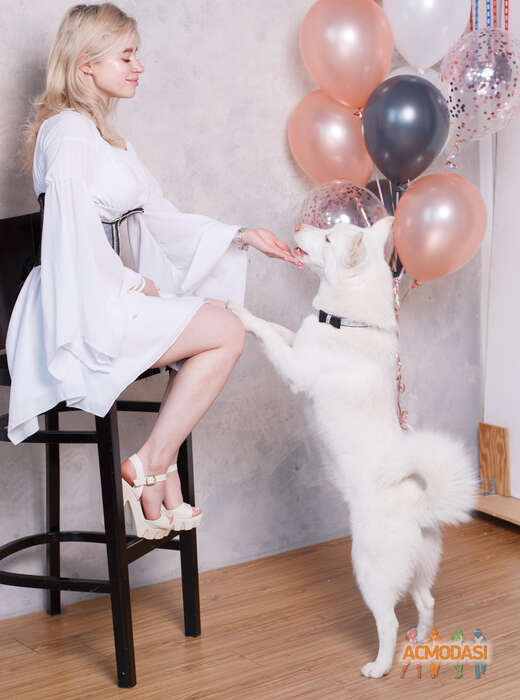 Олеся   фото №1843155. Загружено 15 Февраля 2023