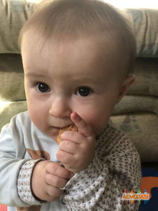 Елена   фото №1446932. Загружено 14 Апреля 2019