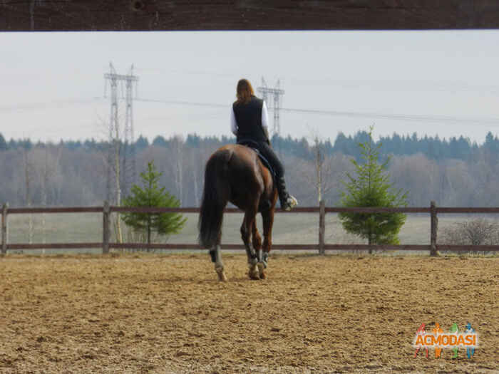 Анна Юрьевна Зыков фото №414459. Загружено 23 Мая 2013