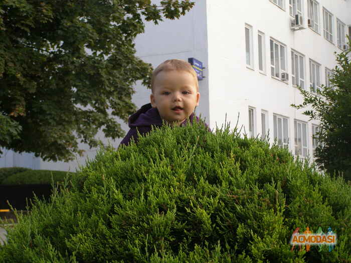 Егор  Павлович фото №273729. Загружено 18 Октября 2012