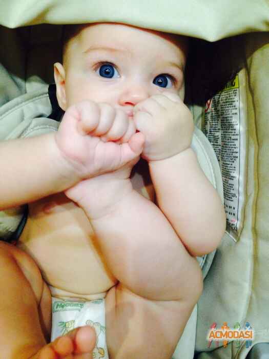 Oscar   фото №906766. Загружено 16 Августа 2015