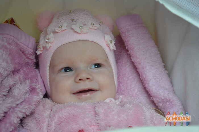 Татьяна Евгеньевна Бойцова фото №1042160. Загружено 02 Июня 2016