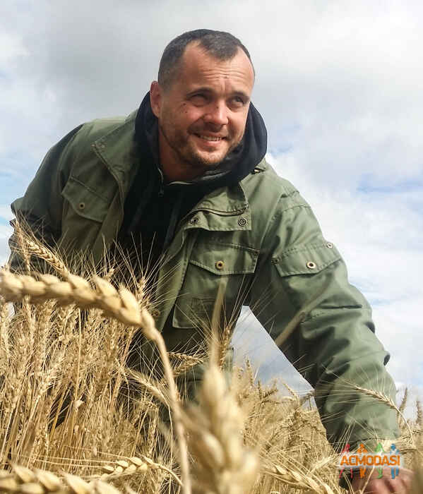 Сергей Павлович Мищенко фото №1027075. Загружено 19 Апреля 2016