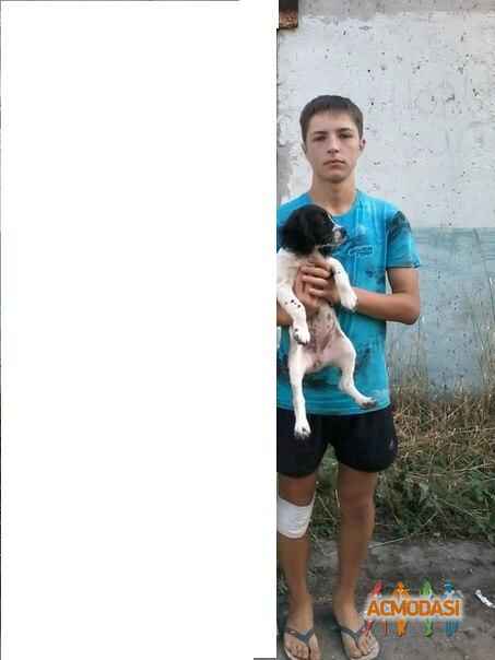 Александр Олегович Сизов фото №800551. Загружено 11 Января 2015