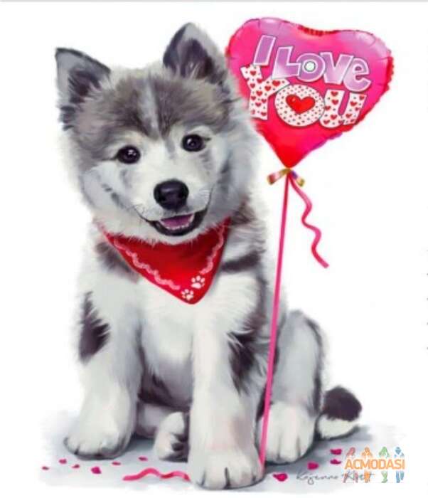 Crceef  Freefer фото №1859888. Загружено 05 Июля 2023