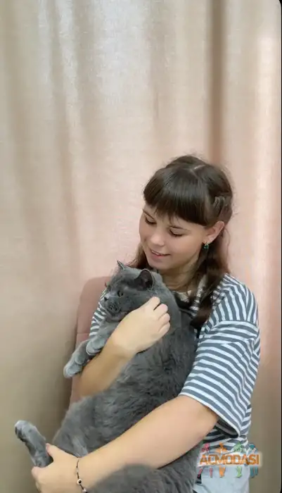 Елизавета  Проницына фото №1945125. Загружено 10 Января 2026