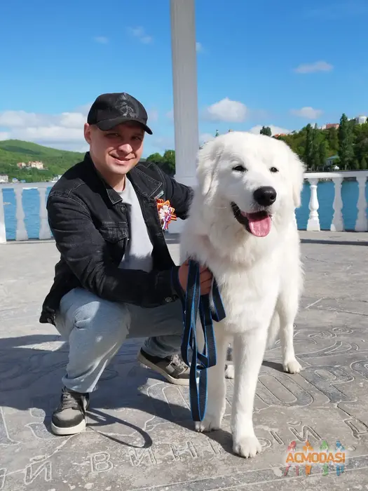 Велес   фото №1932648. Загружено 29 Июля 2025