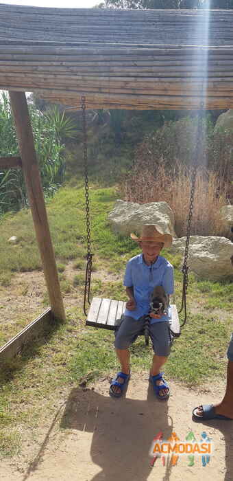 Николай Михайлович Кожанов фото №1495025. Загружено 02 Августа 2019