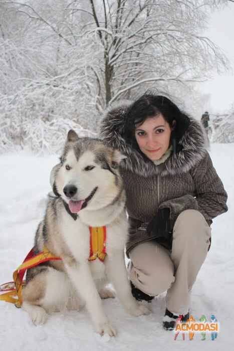 Нелли   фото №842245. Загружено 31 Марта 2015