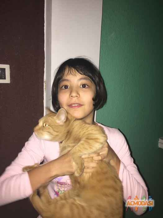 Aлиса   фото №1121758. Загружено 08 Декабря 2016