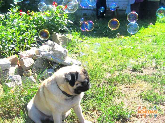 Юля  Сергеевна фото №240398. Загружено 18 Августа 2012