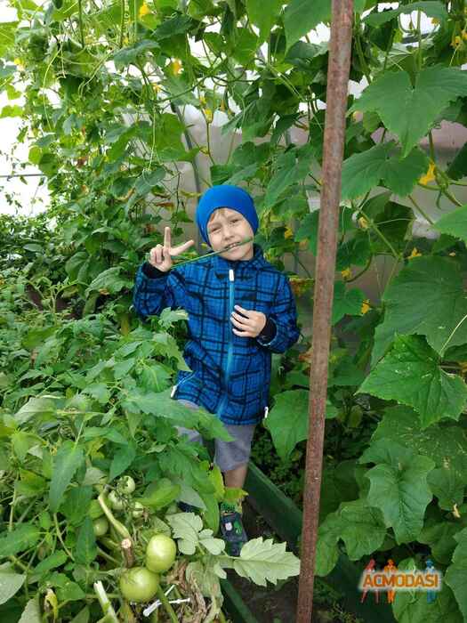 Дмитрий  Коровин фото №1623150. Загружено 27 Июля 2020