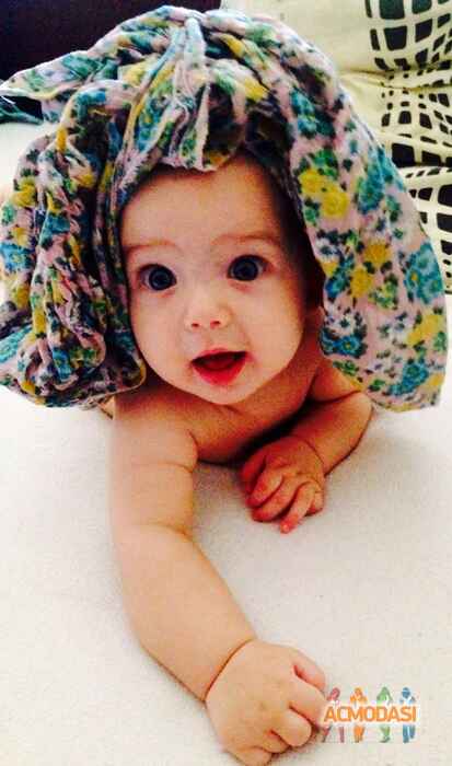 Oscar   фото №906768. Загружено 16 Августа 2015