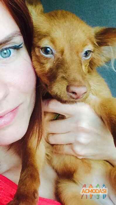 Ричи   фото №1291177. Загружено 22 Февраля 2018